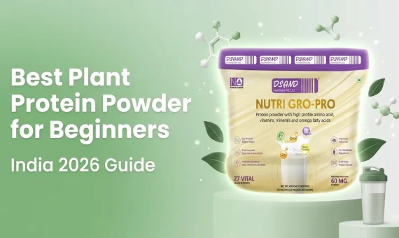 best plant protein powder india for beginners soy protein
